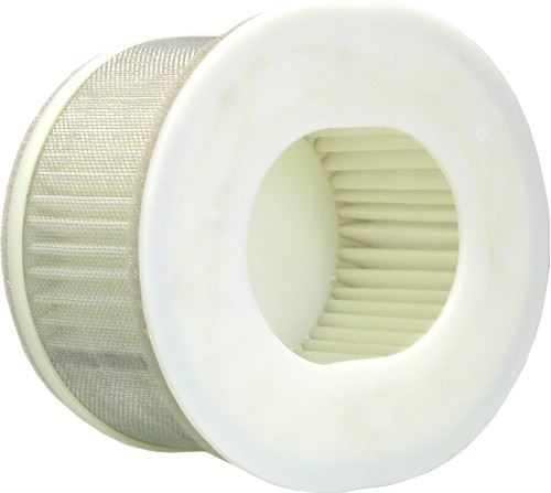 Yamaha FZS 1000 Fazer SAir Filter 2003-2005