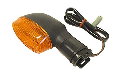 Yamaha YBR 125 Indicator Complete Rear Left 2007