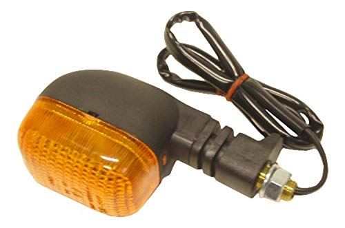 Triumph Speed Triple 955i Indicator Complete Front Left 1999