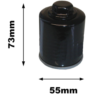 Piaggio MP3 125 Oil Filter 2006-2010