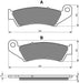 Front Right Goldfren Brake Pad Fits Honda CR 125 RY 2000 – motorcycle part available from UK stock